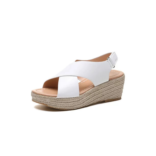 https://cdn.shopify.com/s/files/1/0842/4793/7372/files/3836dacd-9d89-4703-94a0-a8877cf4f67c.19fd43412680adb05fc97b4c916e95fb_d0052133-fa89-4aef-8042-7ae912a51820.webp?v=1741603607