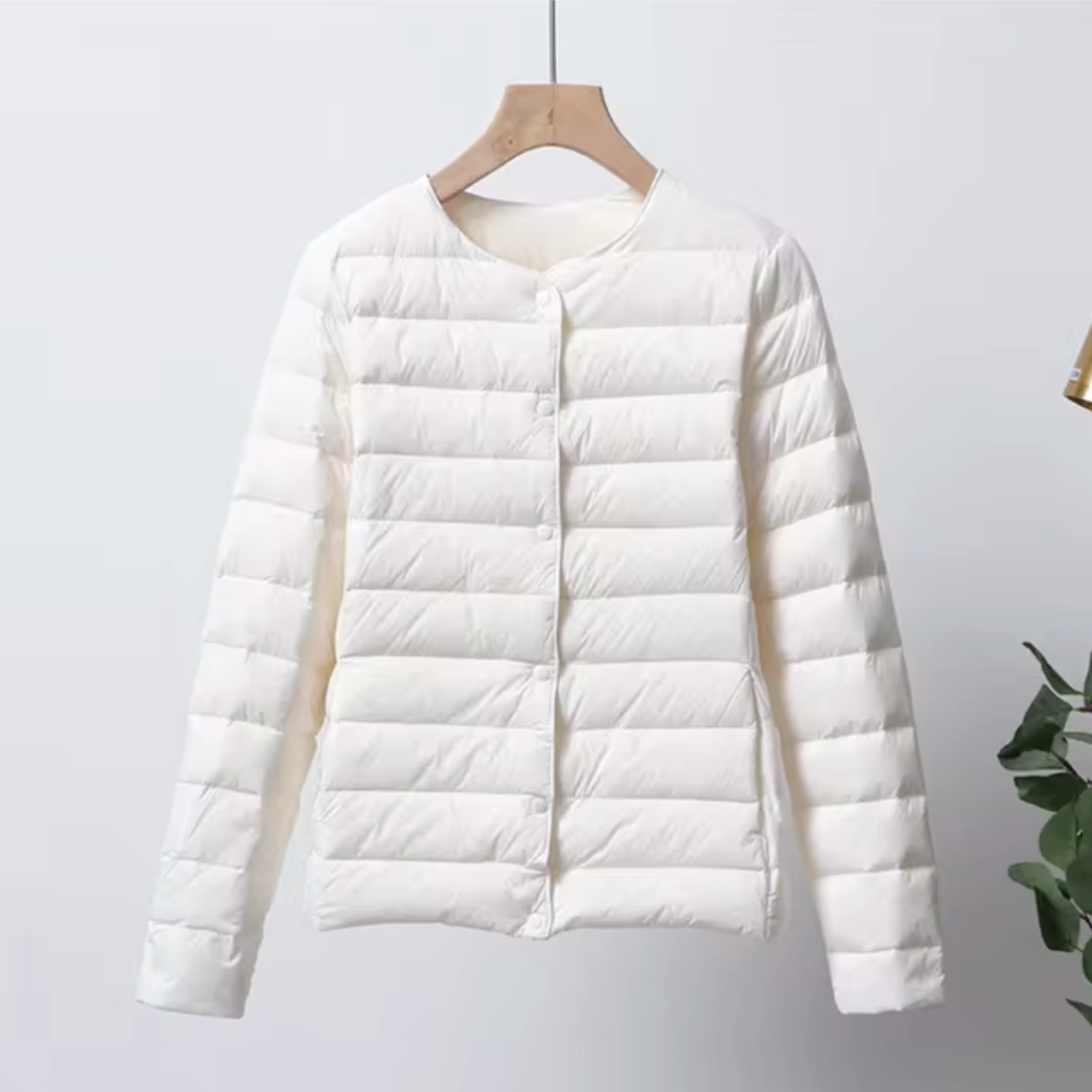 https://cdn.shopify.com/s/files/1/0884/1612/5266/files/1_ca00767b-8fe1-4f57-ab40-0f8b2dc7a551.png?v=1724001996