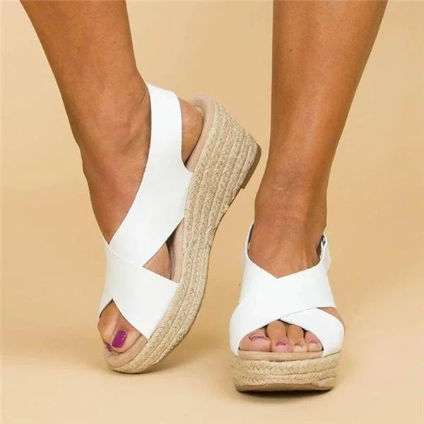 https://cdn.shopify.com/s/files/1/0842/4793/7372/files/fd4549525d9d52dc75fed6c7fdcca402_2c5273d4-b296-47c3-9bed-13e16a539d1c.webp?v=1741603607