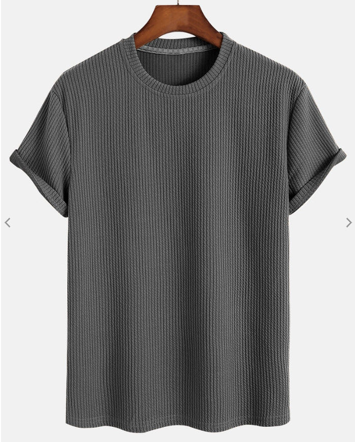 https://cdn.shopify.com/s/files/1/0844/6001/1865/files/herren-elegantes-sommer-t-shirt-Grau.jpg?v=1741679004